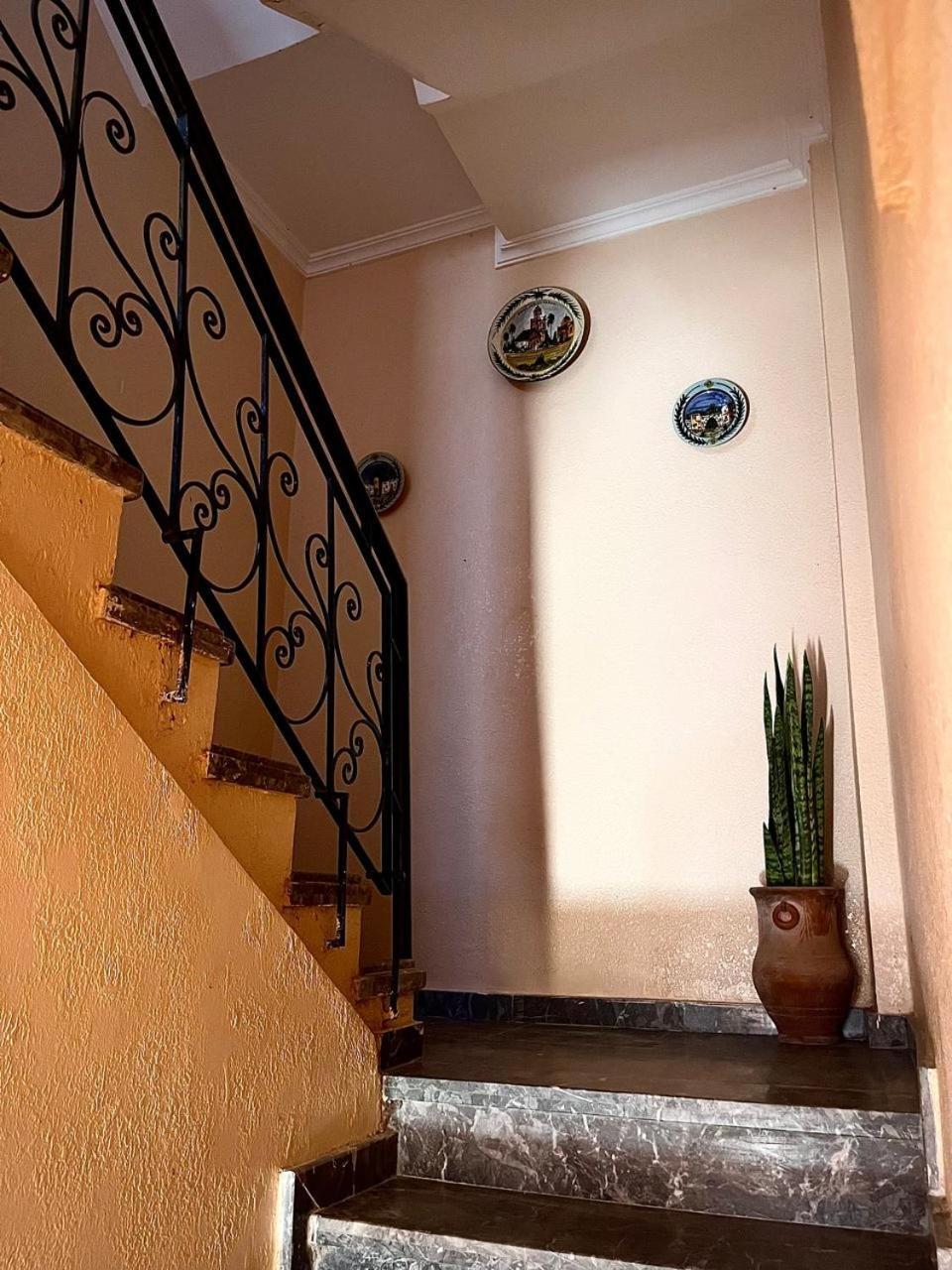 Wave Stay Hostel - Sea View Agadir Extérieur photo